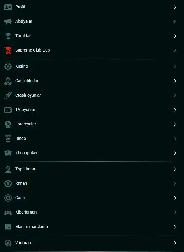 iPhone-da tətbiq kimi işləyə bilən mobil sayt versiyasının funksionallığı