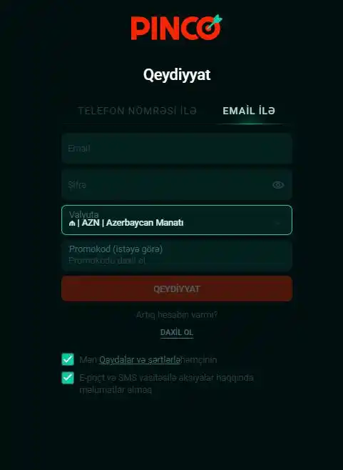 E-mail ilə qeydiyyat üçün lazım olan məlumatların doldurulması